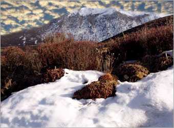 Photoshop合成梦幻唯美的雪山上白色天使