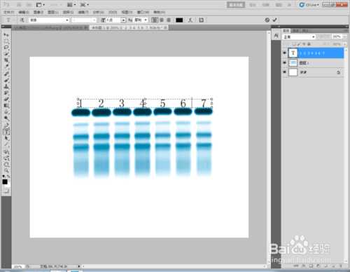 Photoshop标示sds-page电泳图Maker图文教程