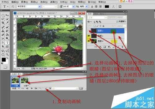 PS CS3中怎么给睡莲制作下雨gif动画效果?