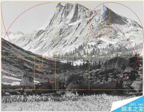传奇摄影师完美遵循黄金分割构图 简直太不可思议