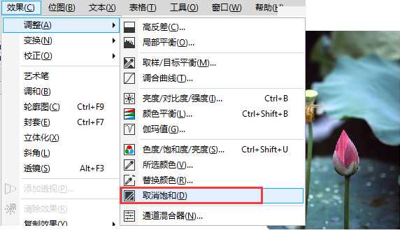 CorelDRAW制作真实照片处理成中国风水墨荷花效果图