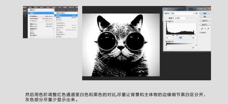 ps巧用通道抠图完美抠出一张戴着眼镜的猫咪图片教程